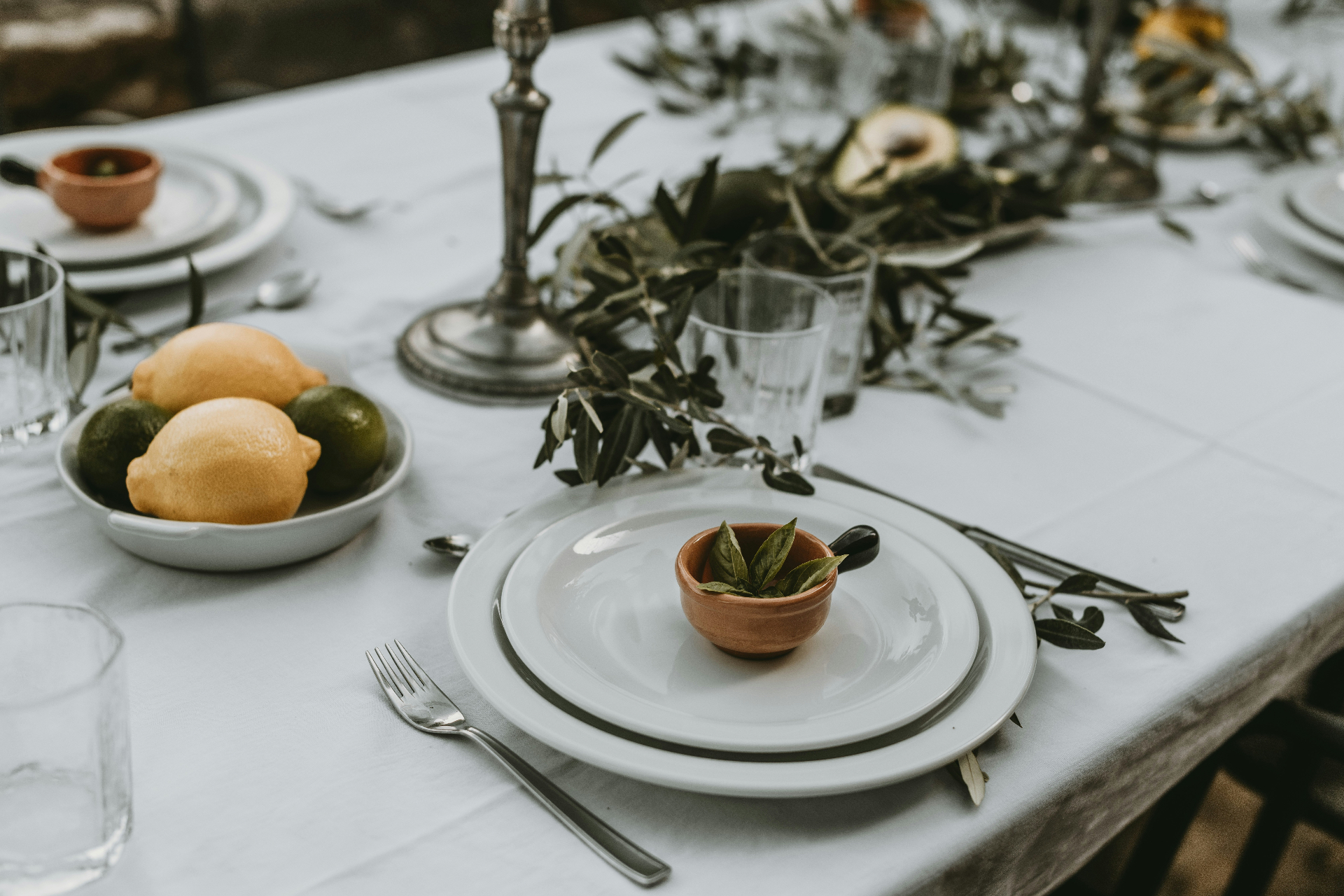 Mediterrane Tafel mit Olivenzweigen, Zitronen und feinem Geschirr
